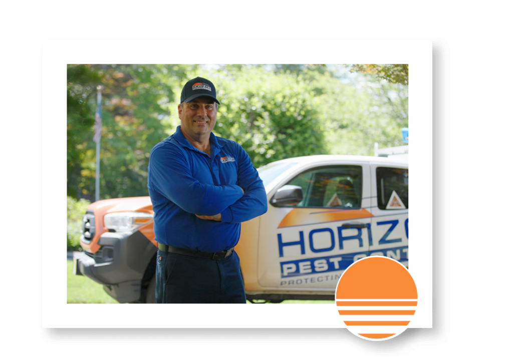 Pest Control Services NJ, Exterminator Near New York, New Jersey