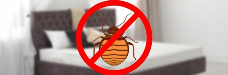 Bed Bug Exterminators in NJ