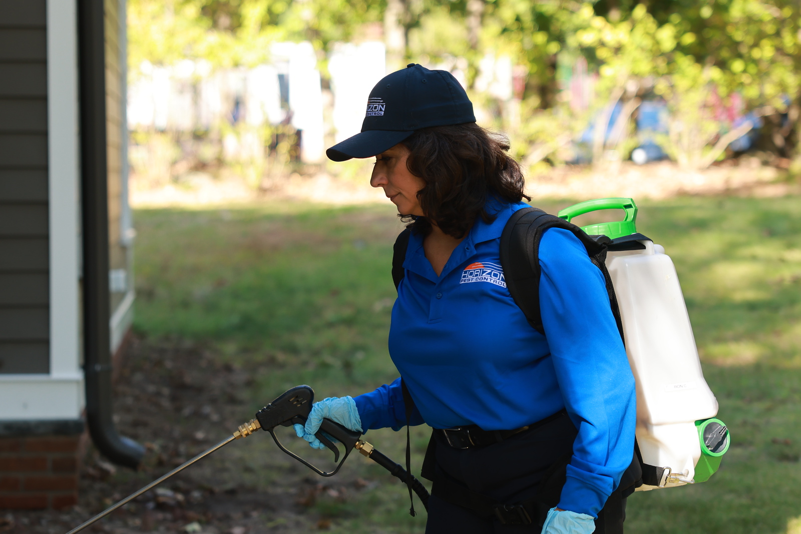 Preparing the Indoor and Outdoor of Your Home From Stink Bugs Horizon