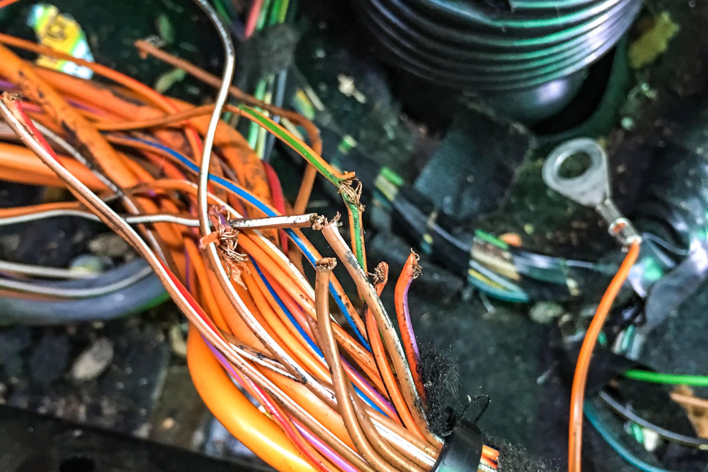 How Rodents Can Damage Your Home's Wiring and Cause Fire Hazards