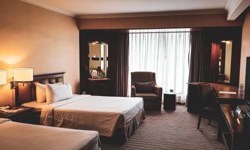 bed bug solutions for hotels